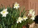 29 mart (16)