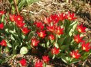 29 mart (17)