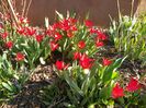29 mart (19)