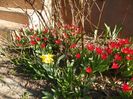 29 mart (20)