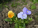P1240720