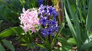 20170331_151846(0)