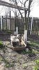20170401_170532(0)