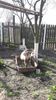 20170401_170531(0)