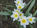 31 mart (16)