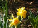 3 apr (15)