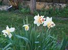 3 apr (18)