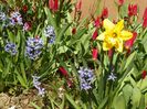 3 apr (53)