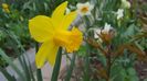 20170405_101247(0)