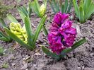 20170405_191501[1]