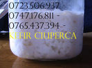 KEFIR 0723506937 - 0747176811 CIUPERCA TIBETANA (13)