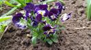 20170407_163116(0)