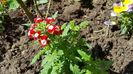 20170409_130503(0)