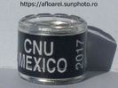 CNU MEXICO 2017