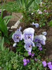 P2060373
