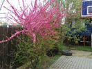 11 apr (46)