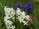 7 apr (2)
