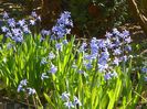 11 apr (8)