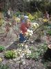 IMGP0242