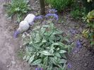 IMGP0245