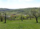 si apar niste lacuri frumoase unde sunt masini -