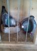 IMG-20170325-WA0002