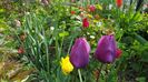 20170416_083834(0)