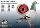 b13-6122092_queen