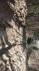 IMG-20170411-WA0166