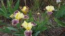 20170418_100917(0)