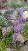 20170418_135148[1]
