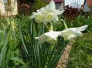 18 apr (11)