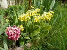 18 apr (15)