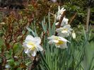 18 apr (16)