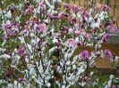 20 apr (3)