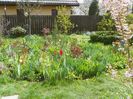 18 apr (4)
