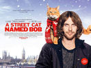 A Street Cat Named Bob (2016) vazut de mine