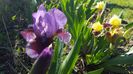 20170424_090820(0)