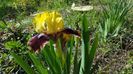 20170425_101902(0)