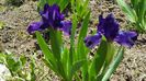 20170425_123104(0)