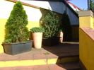 Primavara in curte