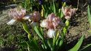 20170428_170105(0)
