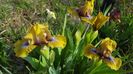 20170429_081105(0)