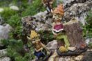_DSC0255
