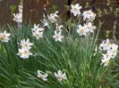 26 apr (10)