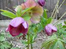 26 apr (40)