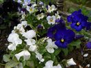 29 apr (44)