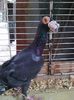 Photo0652