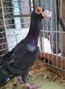 Photo0653