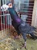 Photo0655